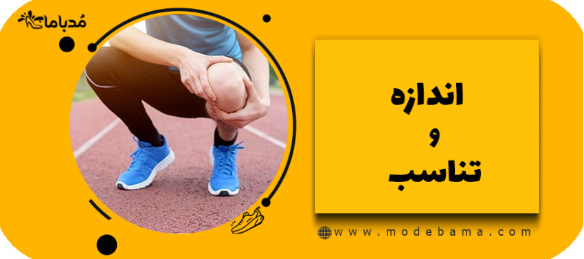 اندازه و تناسب